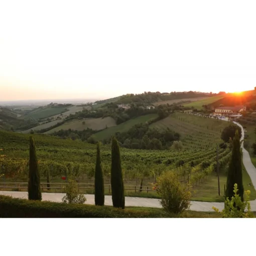 Acetaia Sereni Spa & Wellness|Nature & Relax-- Exclusive Experience - Guided Tour - Tasting - Balsamic Vinegar of Modena D.O.P. - 3 Days 2 Nights - Avvenice