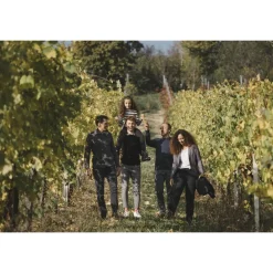 Acetaia Sereni Spa & Wellness|Nature & Relax-- Exclusive Experience - Guided Tour - Tasting - Balsamic Vinegar of Modena D.O.P. - 3 Days 2 Nights - Avvenice