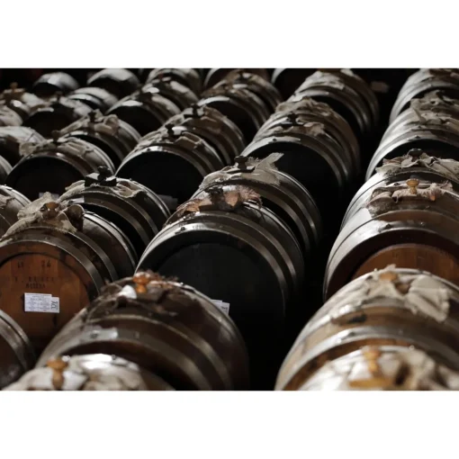 Acetaia Sereni Spa & Wellness|Nature & Relax-- Exclusive Experience - Guided Tour - Tasting - Balsamic Vinegar of Modena D.O.P. - 3 Days 2 Nights - Avvenice