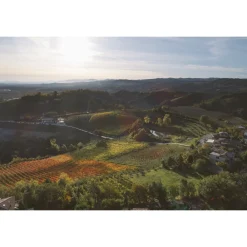 Acetaia Sereni Spa & Wellness|Nature & Relax-- Exclusive Experience - Guided Tour - Tasting - Balsamic Vinegar of Modena D.O.P. - 3 Days 2 Nights - Avvenice