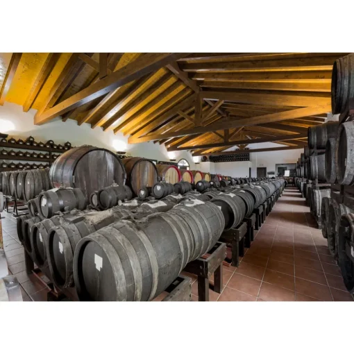 Acetaia Sereni Spa & Wellness|Nature & Relax-- Exclusive Experience - Guided Tour - Tasting - Balsamic Vinegar of Modena D.O.P. - 3 Days 2 Nights - Avvenice