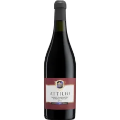 Acetaia Sereni Wines-- "Attilio" - Lambrusco Grasparossa di Castelvetro D.O.P. Dry - Red Wines - Avvenice