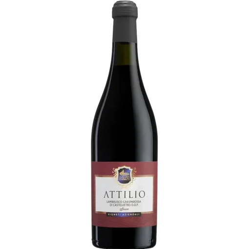 Acetaia Sereni Wines-- "Attilio" - Lambrusco Grasparossa di Castelvetro D.O.P. Dry - Red Wines - Avvenice