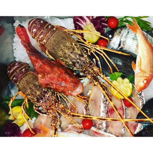 Al Pescatore Hotel & Restaurant Nature & Relax|City-Al Pescatore Hotel & Restaurant - Exclusive Gold Gallipoli - Salento - Puglia Italy - 2 Days 1 Night - Avvenice