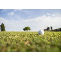 Allegroitalia Elba Golf Spa & Wellness|Nature & Relax-- Exclusive Elba Experience - Golf Club - 2 Days 1 Night - Avvenice