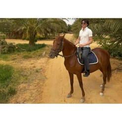 Anantara Sahara Tozeur Resort Nature & Relax|Spa & Wellness-- Saharan Desert - Star Wars - Pool Villa - 5 Days 4 Nights - Tunisia - Exclusive Luxury - Avvenice