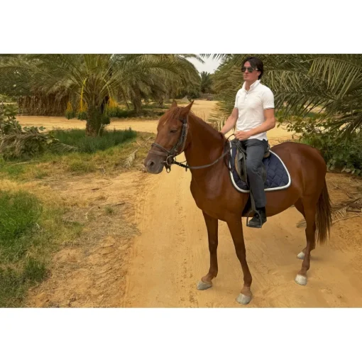 Anantara Sahara Tozeur Resort Nature & Relax|Spa & Wellness-- Saharan Desert - Star Wars - Pool Villa - 5 Days 4 Nights - Tunisia - Exclusive Luxury - Avvenice