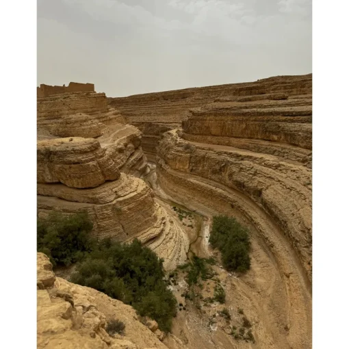 Anantara Sahara Tozeur Resort Nature & Relax|Spa & Wellness-- Saharan Desert - Star Wars - Pool Villa - 5 Days 4 Nights - Tunisia - Exclusive Luxury - Avvenice