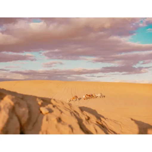 Anantara Sahara Tozeur Resort Nature & Relax|Spa & Wellness-- Saharan Desert - Star Wars - Pool Villa - 5 Days 4 Nights - Tunisia - Exclusive Luxury - Avvenice