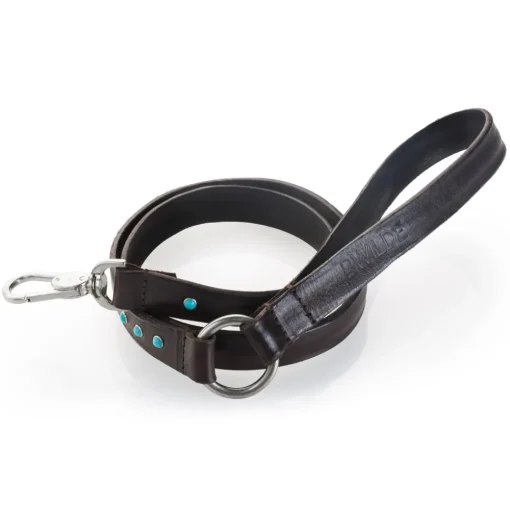 B Wilde Collection Leash-- Cabo Leash - Turquoise - Cabo Collection - Leather Leash - High Quality Luxury - Avvenice