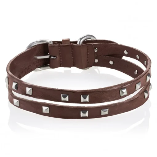 B Wilde Collection Collars-- Cairo Collar - Biscuit - Cairo Collection - Leather Collar - High Quality Luxury - Avvenice