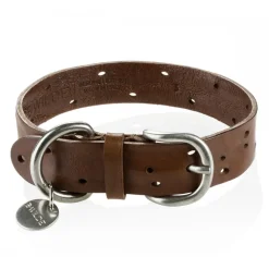 B Wilde Collection Collars-- Domino Collar - Olive - Domino Collection - Leather Collar - High Quality Luxury - Avvenice