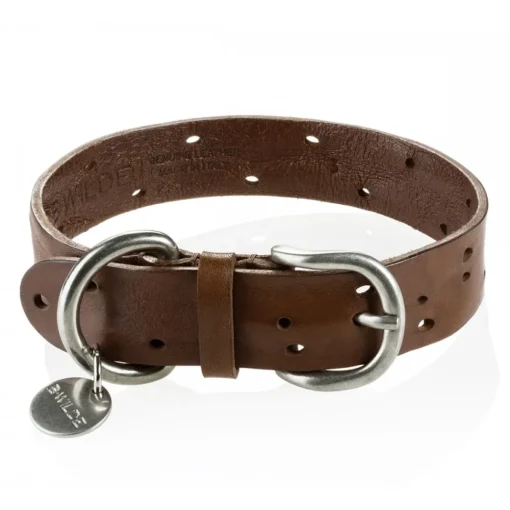 B Wilde Collection Collars-- Domino Collar - Olive - Domino Collection - Leather Collar - High Quality Luxury - Avvenice