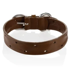 B Wilde Collection Collars-- Domino Collar - Olive - Domino Collection - Leather Collar - High Quality Luxury - Avvenice