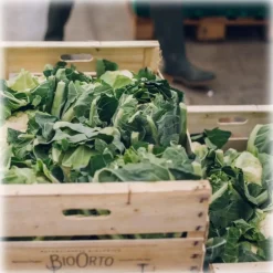 BioOrto Preserved Foods-- Organic Cauliflower Cream - Organic Preserved Foods - 180 g - Avvenice