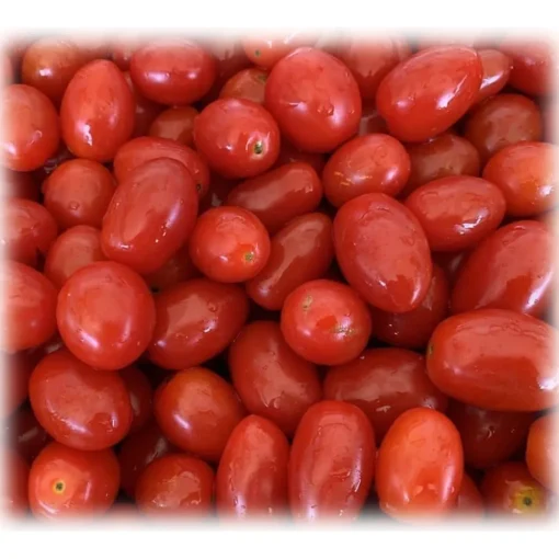 BioOrto Preserved Foods-- Organic Natural Datterino Tomatoes - Organic Preserved Foods - 550 g - Avvenice