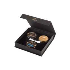 Calvisius Caviar And Oysters-- Special Edition Collection - Caviar - Gift Boxes - Luxury High Quality - 3 x 50 g - Avvenice