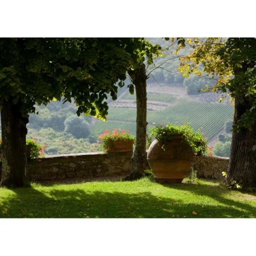 Castello di Meleto Nature & Relax|Castles-- Castle Storytelling - History - Art - Wine - 5 Days 4 Nights - Avvenice