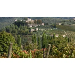 Castello di Meleto Nature & Relax|Castles-- Castle Storytelling - History - Art - Wine - 5 Days 4 Nights - Avvenice