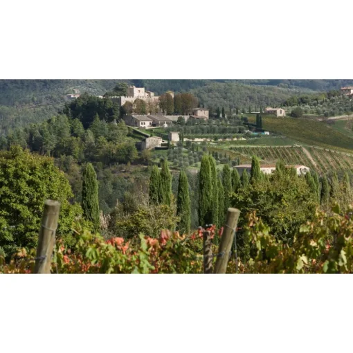 Castello di Meleto Nature & Relax|Castles-- Castle Storytelling - History - Art - Wine - 5 Days 4 Nights - Avvenice