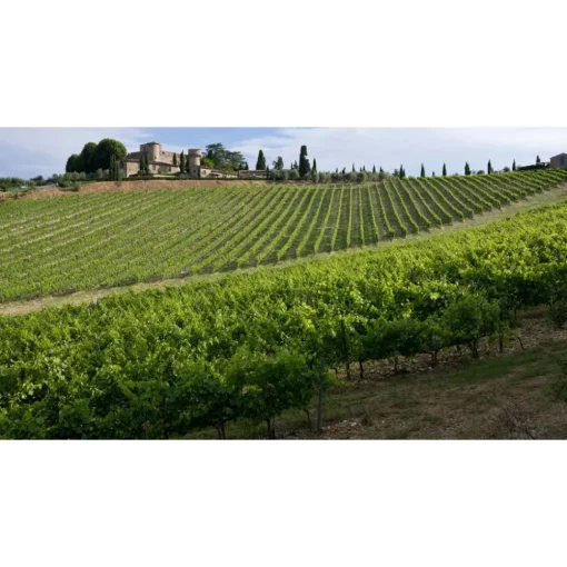 Castello di Meleto Nature & Relax|Castles-- Castle Storytelling - History - Art - Wine - 5 Days 4 Nights - Avvenice