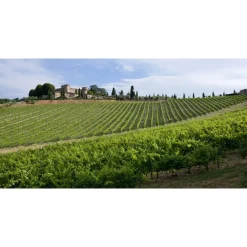 Castello di Meleto Nature & Relax|Castles-- Castle Storytelling - History - Art - Wine - 5 Days 4 Nights - Avvenice