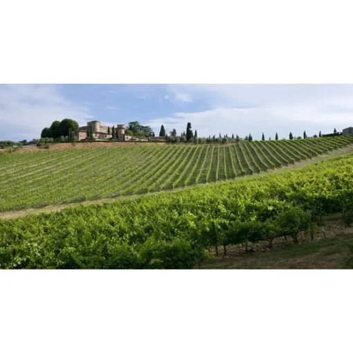 Castello di Meleto Nature & Relax|Castles-- Castle Storytelling - History - Art - Wine - 5 Days 4 Nights - Avvenice