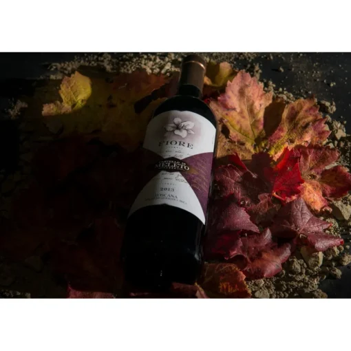 Castello di Meleto Nature & Relax|Castles-- Castle Storytelling - History - Art - Wine - 5 Days 4 Nights - Avvenice