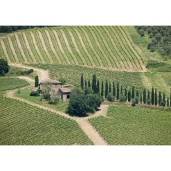 Castello di Meleto Nature & Relax|Castles-- Castle Storytelling - History - Art - Wine - 5 Days 4 Nights - Avvenice