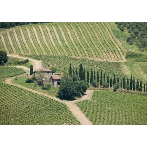Castello di Meleto Nature & Relax|Castles-- Castle Storytelling - History - Art - Wine - 5 Days 4 Nights - Avvenice