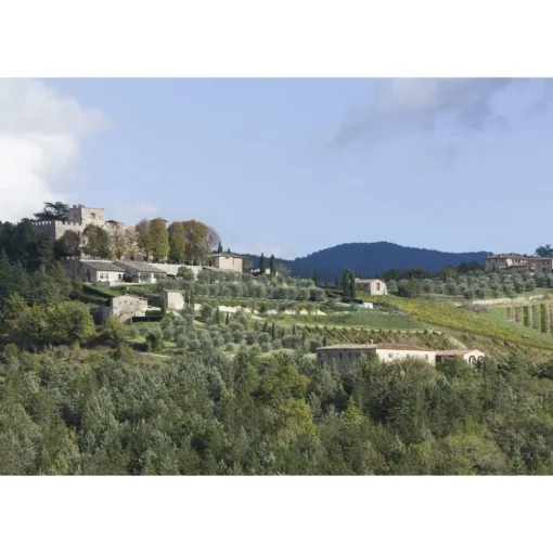 Castello di Meleto Nature & Relax|Castles-- Regenerate at The Castle - Beauty - Relax - History - Art - 7 Days 6 Nights - Avvenice