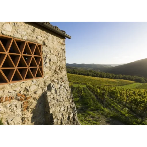 Castello di Meleto Nature & Relax|Castles-- Regenerate at The Castle - Beauty - Relax - History - Art - 7 Days 6 Nights - Avvenice
