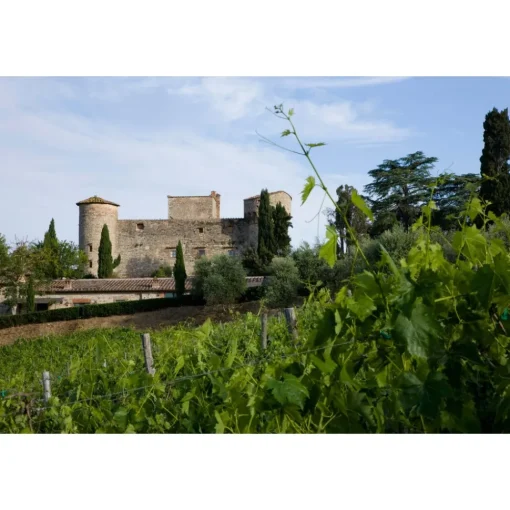Castello di Meleto Nature & Relax|Castles-- Regenerate at The Castle - Beauty - Relax - History - Art - 7 Days 6 Nights - Avvenice