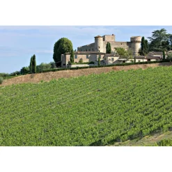 Castello di Meleto Nature & Relax|Castles-- Regenerate at The Castle - Beauty - Relax - History - Art - 7 Days 6 Nights - Avvenice