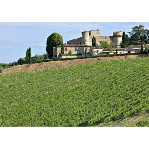 Castello di Meleto Nature & Relax|Castles-- Regenerate at The Castle - Beauty - Relax - History - Art - 7 Days 6 Nights - Avvenice