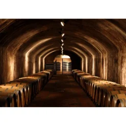 Castello di Spessa Nature & Relax|Castles-Golf & Wine Resort - Discovering Casanova - 3 Days 2 Nights - Avvenice