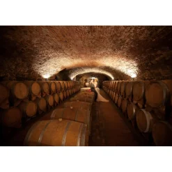 Castello di Spessa Nature & Relax|Castles-Golf & Wine Resort - Discovering Casanova - 3 Days 2 Nights - Avvenice