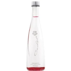 Cedea Luxury Water Juices-- Natural - Noble Mineral Water of the Dolomites - Italy - The Dolomites' First-Class Quality - Avvenice