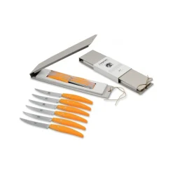 Coltellerie Berti - 1895 Kitchen & Dining-- Polychrome 6 Table Knives - N. 8056 - Exclusive Artisan Knives - Handmade in Italy - Avvenice