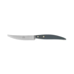 Coltellerie Berti - 1895 Kitchen & Dining-- Polychrome 6 Table Knives - N. 8064 - Exclusive Artisan Knives - Handmade in Italy - Avvenice