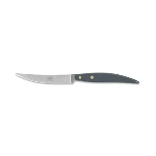 Coltellerie Berti - 1895 Kitchen & Dining-- Polychrome 6 Table Knives - N. 8064 - Exclusive Artisan Knives - Handmade in Italy - Avvenice
