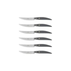 Coltellerie Berti - 1895 Kitchen & Dining-- Polychrome 6 Table Knives - N. 8064 - Exclusive Artisan Knives - Handmade in Italy - Avvenice