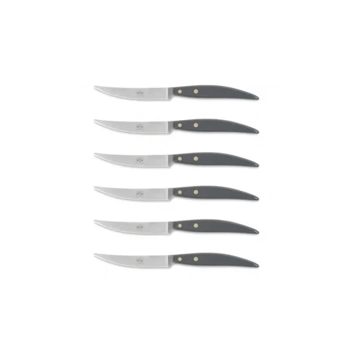 Coltellerie Berti - 1895 Kitchen & Dining-- Polychrome 6 Table Knives - N. 8064 - Exclusive Artisan Knives - Handmade in Italy - Avvenice