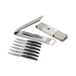 Coltellerie Berti - 1895 Kitchen & Dining-- Polychrome 6 Table Knives - N. 8064 - Exclusive Artisan Knives - Handmade in Italy - Avvenice