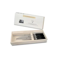 Coltellerie Berti - 1895 Kitchen & Dining-- Set of Four Kitchen Knives - N. 2530 - Exclusive Artisan Knives - Handmade in Italy - Avvenice