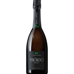 Contadi Castaldi Wines-- Franciacorta D.O.C.G. Pinònero Natura - Pinot Noir - Luxury Limited Edition - 750 ml - Avvenice