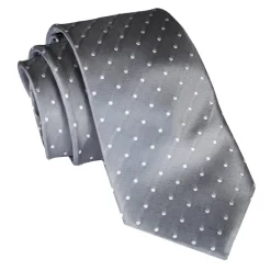 Coffret Cravates E.G. Ties & Bow Ties-Cravates E.G. - Polka Dot Tie - Ice Gray - Avvenice