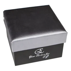 Coffret Cravates E.G. Ties & Bow Ties-Cravates E.G. - Solid Satin Tie - Ice Gray - Avvenice