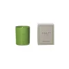 Culti Milano Environment-- Candle Color 250 gr - Gelsomino - Room Fragrances - Green - Fragrances - Luxury - Avvenice