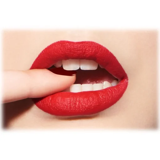 Dior Beauty Make Up-Dior - Rouge Dior - Lipstick - Satin Finish - Dark Treatment - Luxury - Avvenice